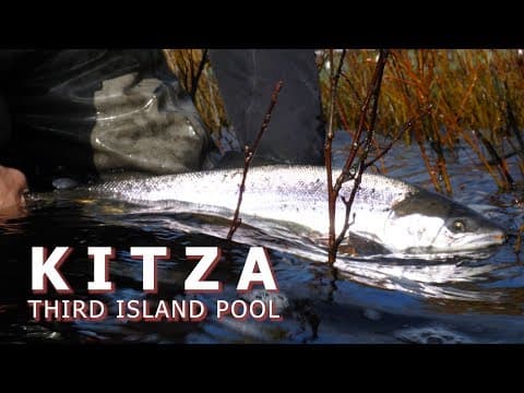 Kitza - Third Island Pool - Atlantic Salmon in Russia