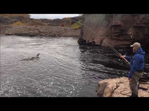 Chavanga river Autumn 2017. Kola Peninsula. Russia