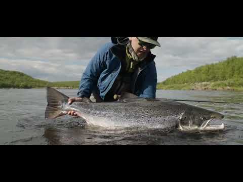 YOKANGA Trailer- Official Selection