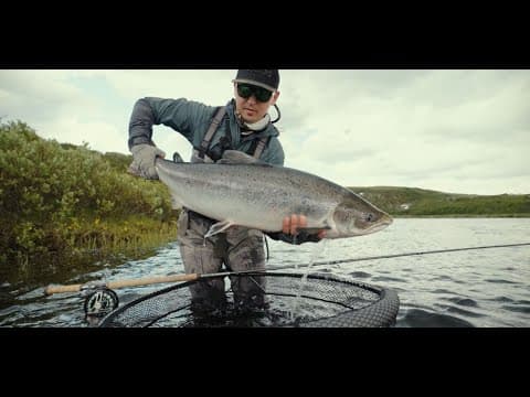 Йоканьга (Yokanga)