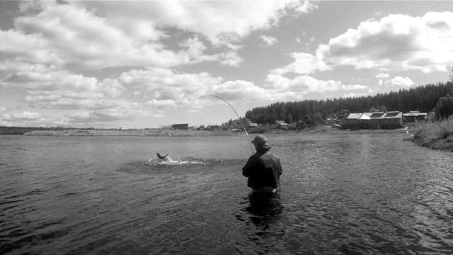 Umba Summer Karma - 2011