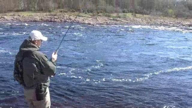 PAV Russie Strelna Juin 2012